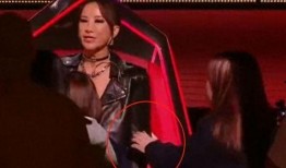 李玟妹妹爆料视频在线观看,揭秘家族背后惊人真相