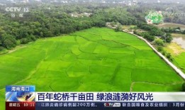 揭东曲溪实时爆料新闻,突发事件引发关注